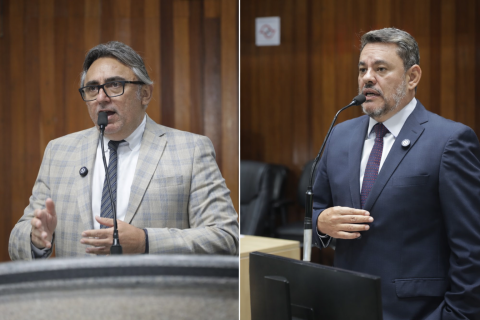 Câmara aprova Moção para pedir vagões exclusivos para mulheres nos trens