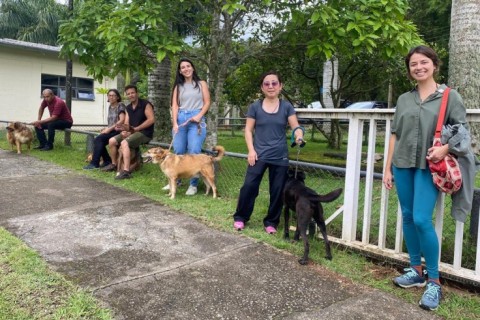 Núcleo de Bem-Estar Animal realizará Passeio do Bem, sessões de ozonioterapia e adestramento nesta terça-feira (10/2)