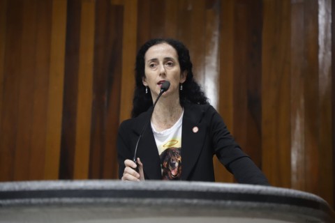 Câmara aprova Moção de Apelo por leis mais duras em crimes contra maus tratos de animais